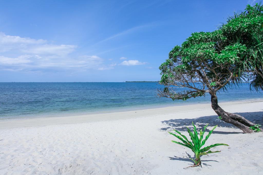 Trikora Beach Club&Resort Teluk Bakau Exterior foto